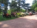 le zebre